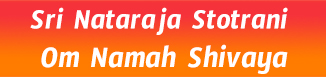 Om Namah Shivaya